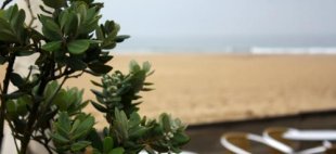 Matosinhos beach porto